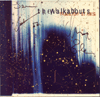 Walkabouts - Trail Of Stars
