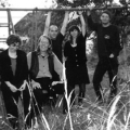 Walkabouts – Schimmernder Mischmasch