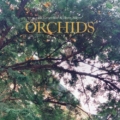 Eli Greenhoe & Hans Bilger – Orchids