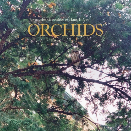 Eli Greenhoe & Hans Bilger – Orchids