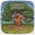 Timbreroots – Heartbeat Chronicles