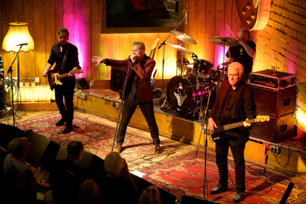 Dr. Feelgood - 12.04.2025 - Hannover (Foto: Martin Jedicke)