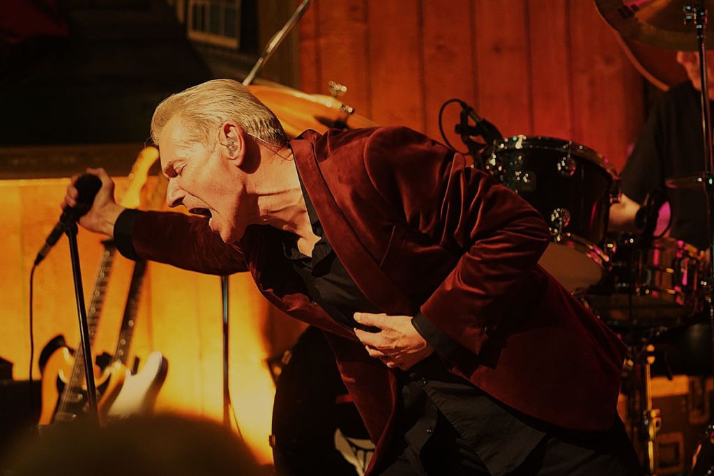 Dr. Feelgood - 12.04.2025 - Hannover (Foto: Martin Jedicke)