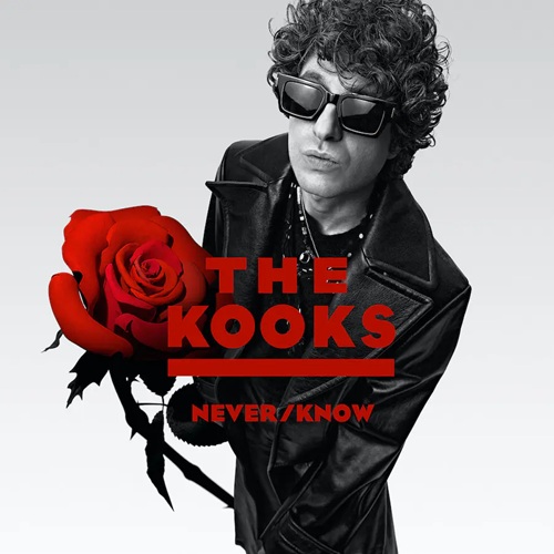 The Kooks – Never/Know 
