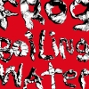 DIIV – Frog In Boiling Water