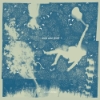 Iron & Wine – Light Verse