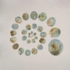 Laura Misch – Sample The Earth