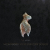 Matthew Herbert x London Contemporary Orchestra – The Horse