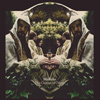 Midlake - The Courage Of Others