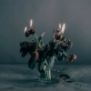 Nala Tessloff – Daydream