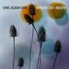 One Adam One - Where Do I Begin