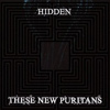 These New Puritans – Hidden