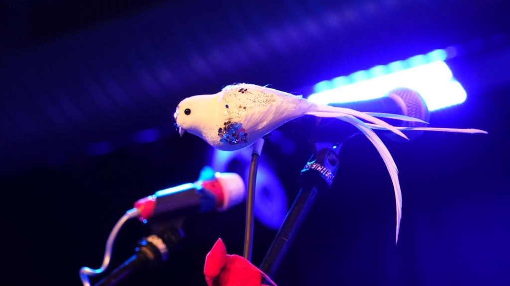 Taylor Zachry - 09.03.2026 - Hamburg (Foto: Ullrich Maurer)