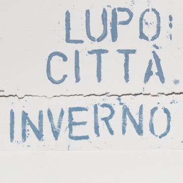 Lupo Città - Inverno