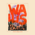 Wallis Bird – I Can See Your House From Here