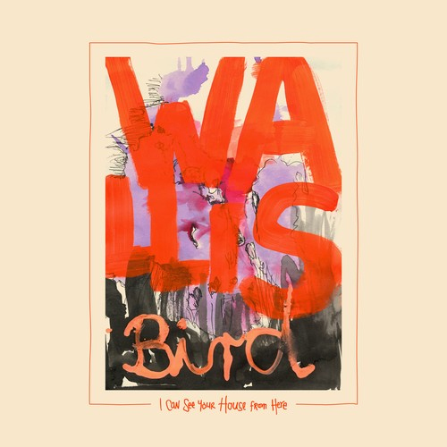 Wallis Bird