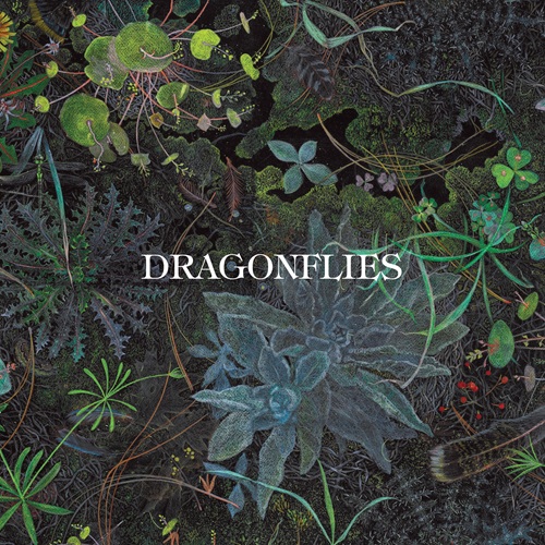 Dragonflies – Dragonflies