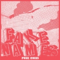 Fake Names – Punk Ruins